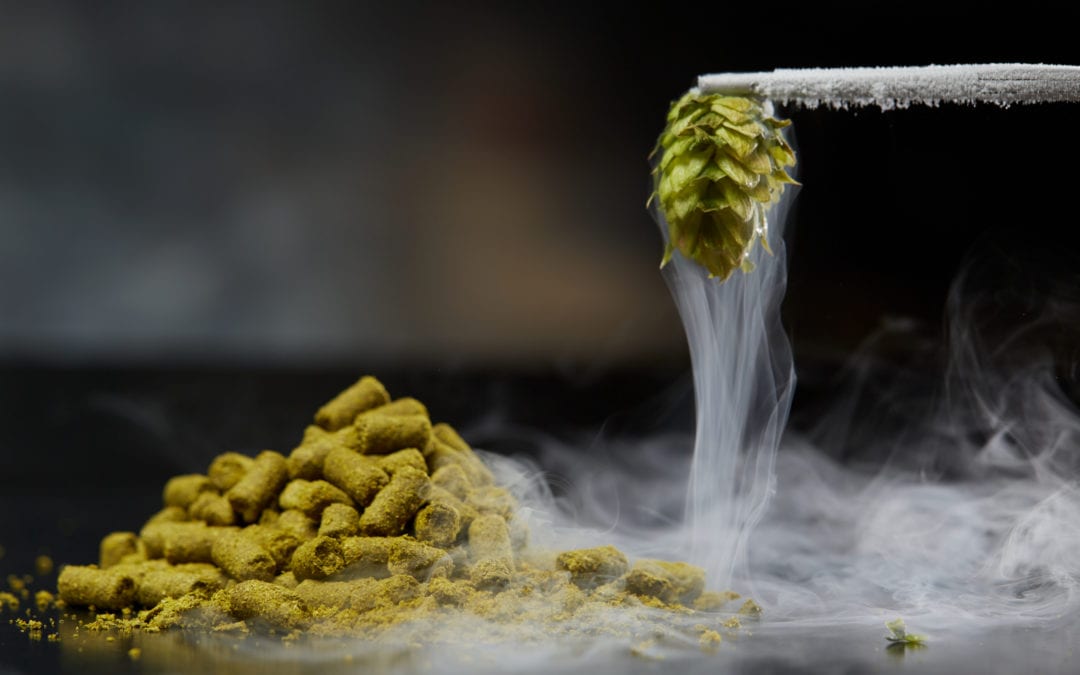 THE ADVANTAGES OF CO2 EXTRACT and CRYOHOPS®