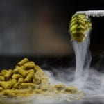 Cryogenically frozen hops