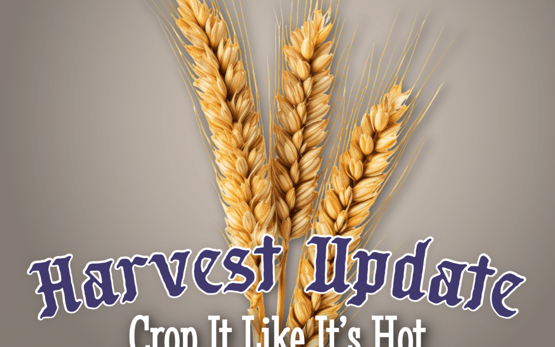 S.5, E.22 – Crop It Like It’s Hot: 2024 Harvest Update