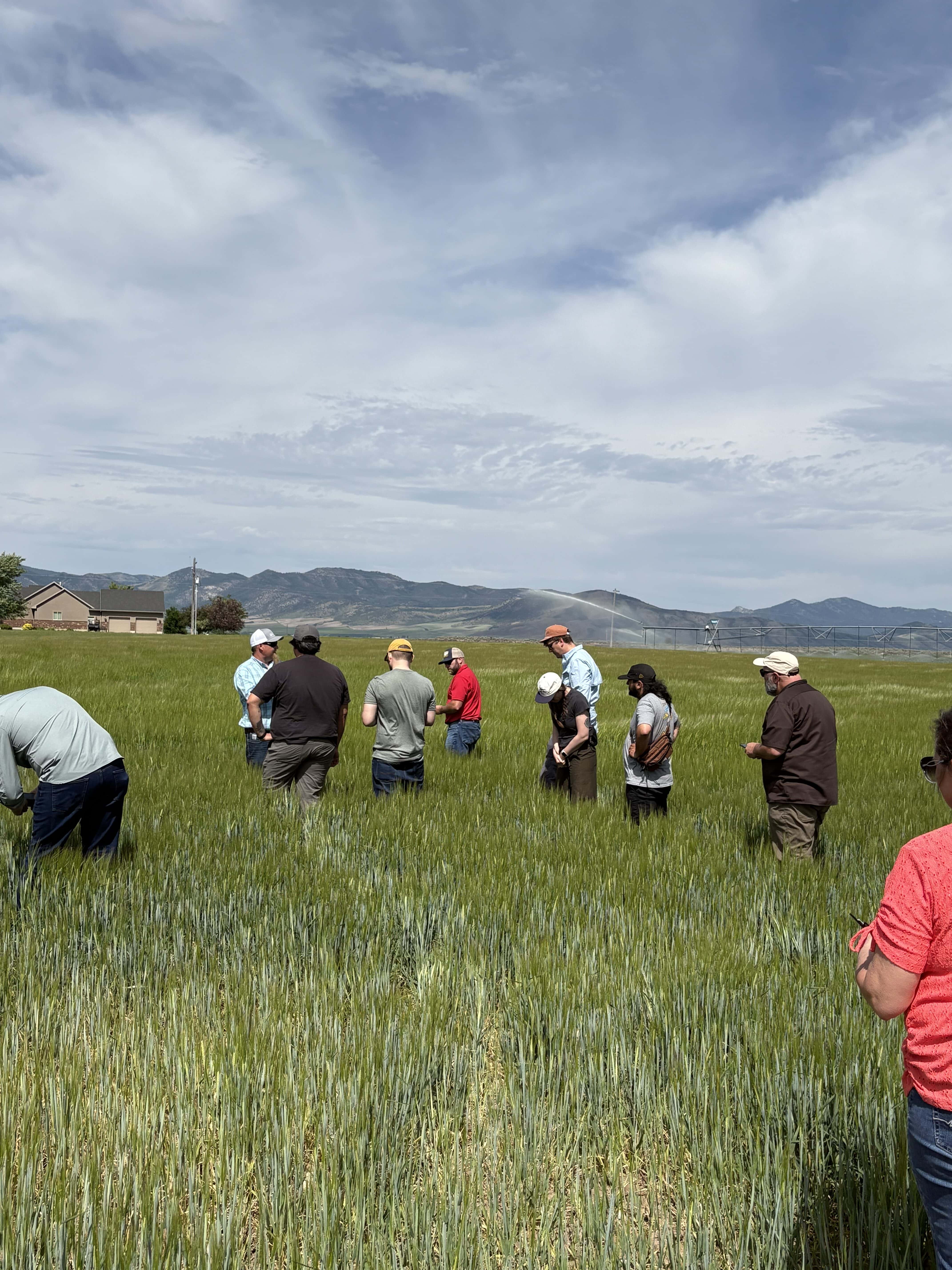 Brewers and distillers in the barley fields at GWM Malting Course