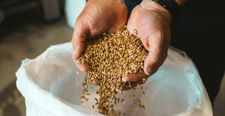 Malt - Certificate of Analysis