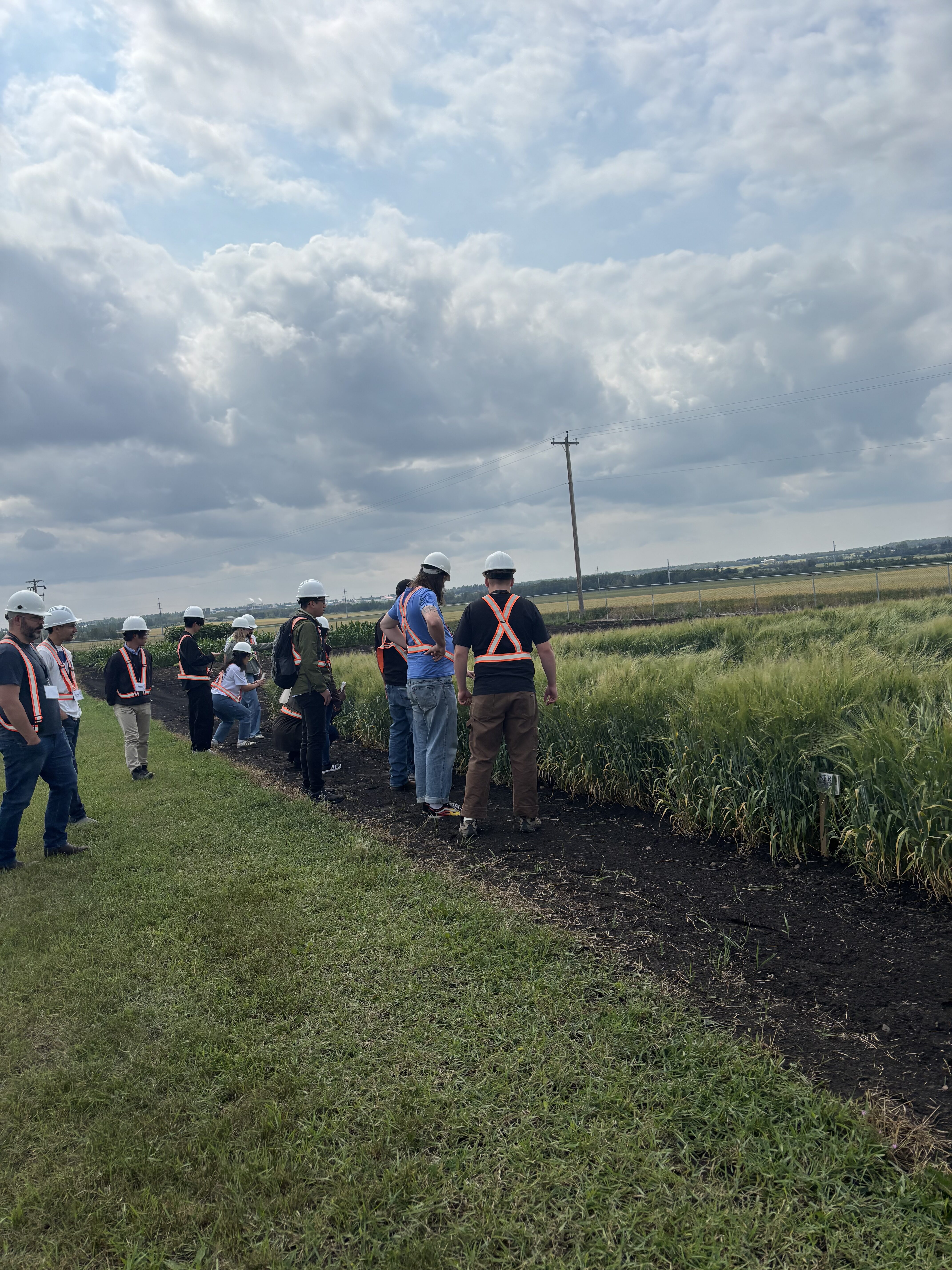 Brewers and distillers in the barley fields at GWM Malting Course