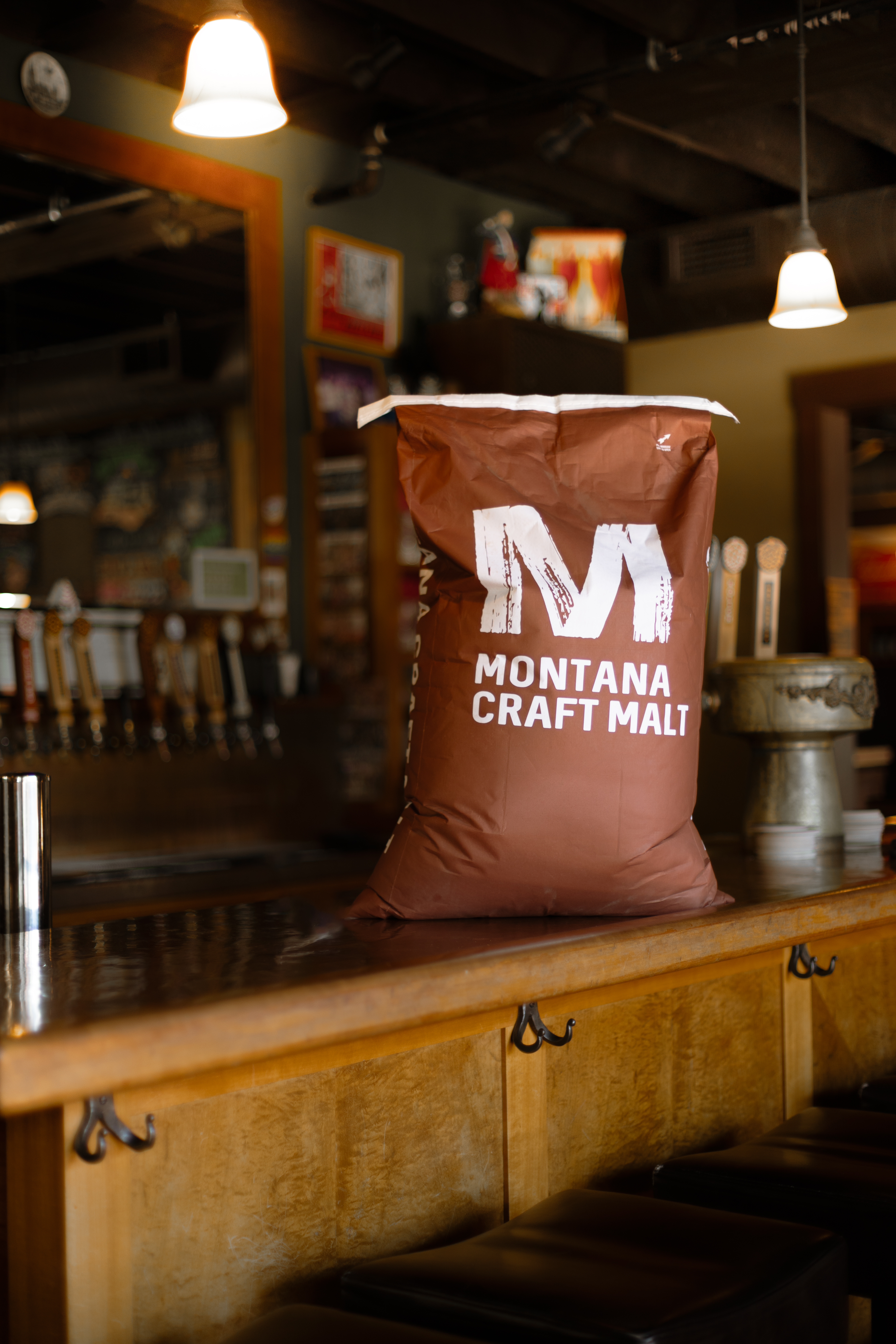 GWM Grain team providing educational presentation to brewing and distilling guests at 2025 GWM Malting Course